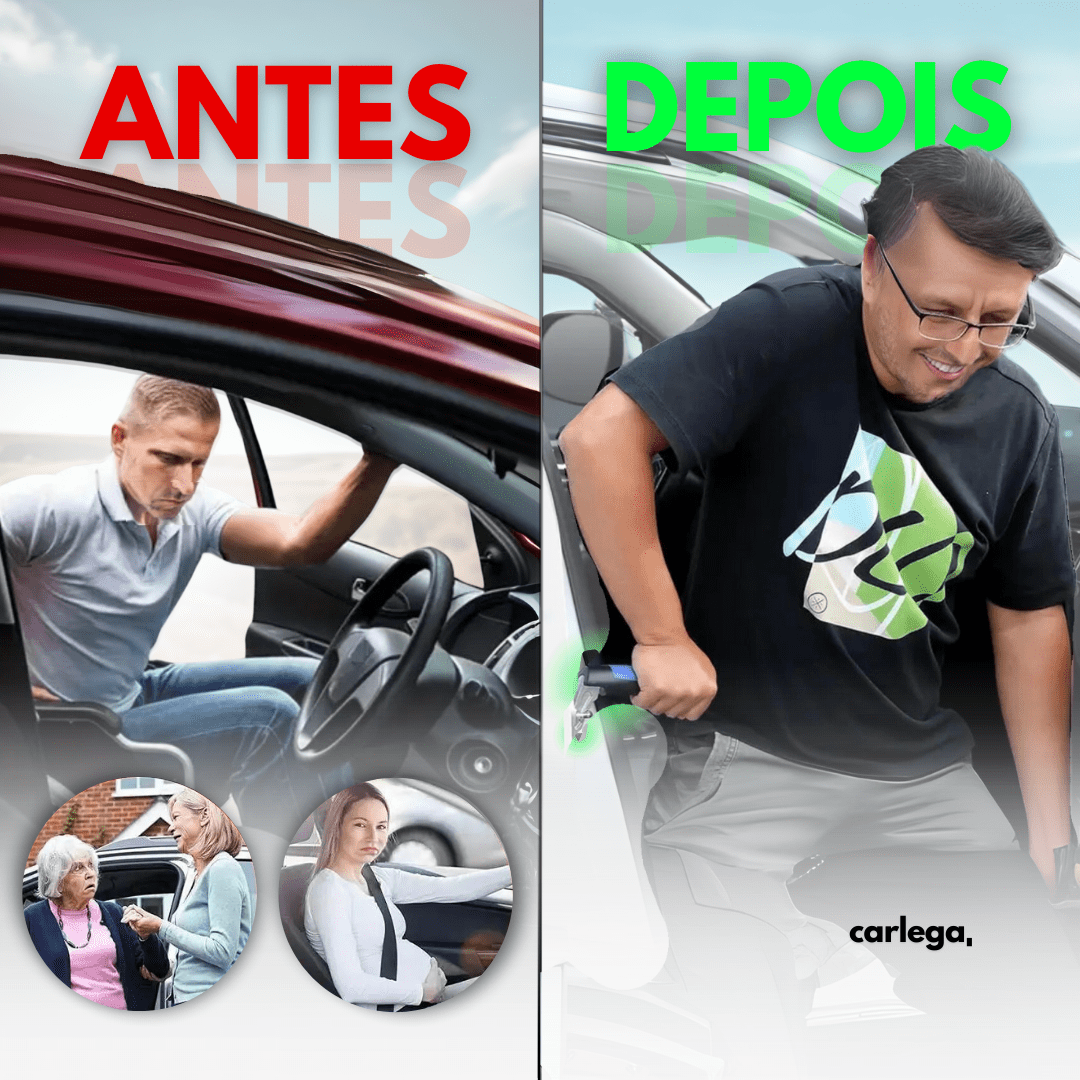 Asa de asistencia para el coche